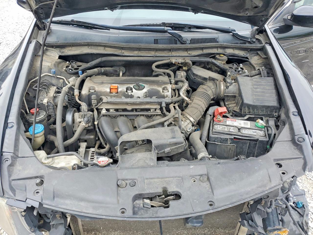 2010 HONDA ACCORD