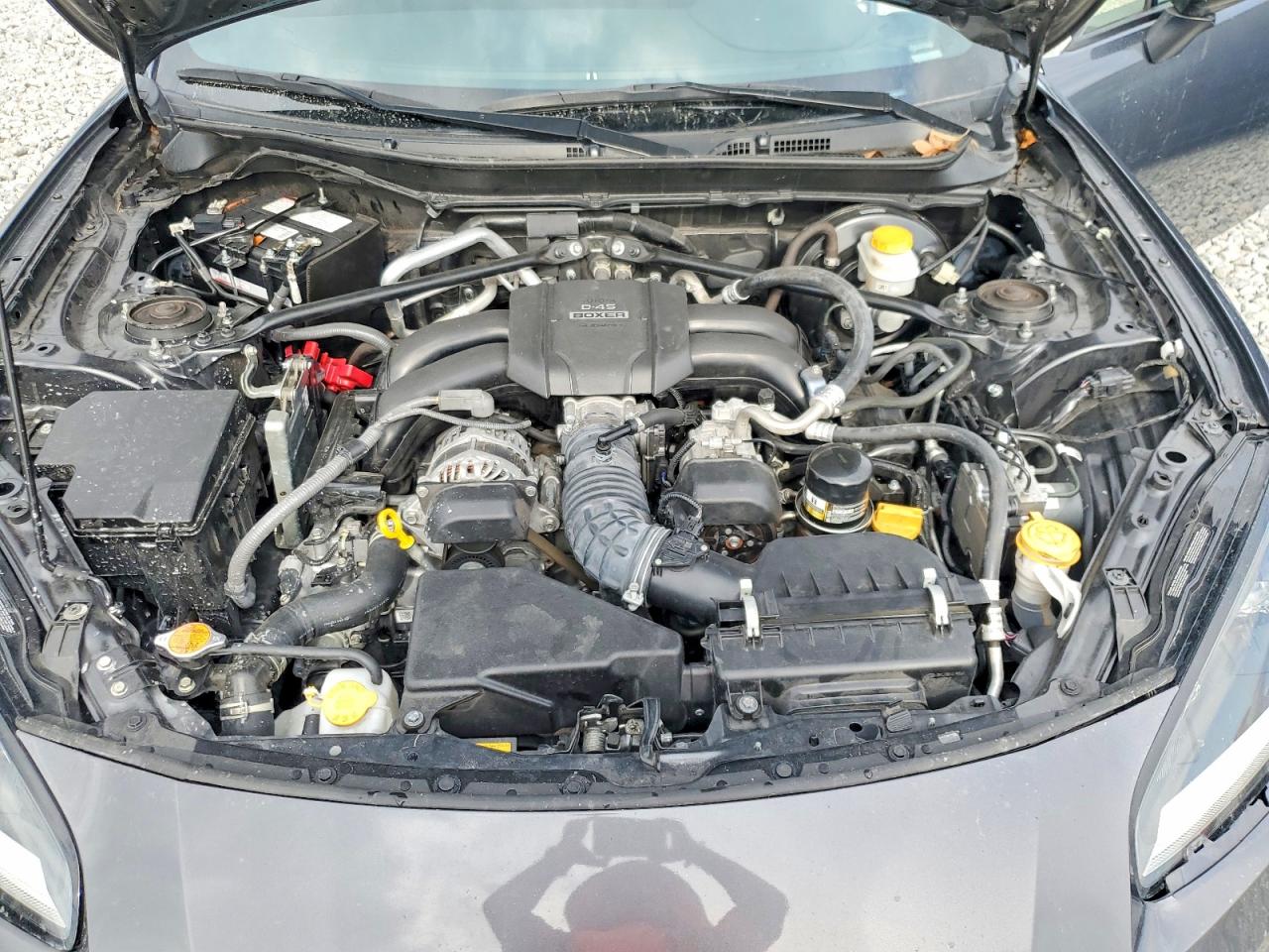 2023 TOYOTA 