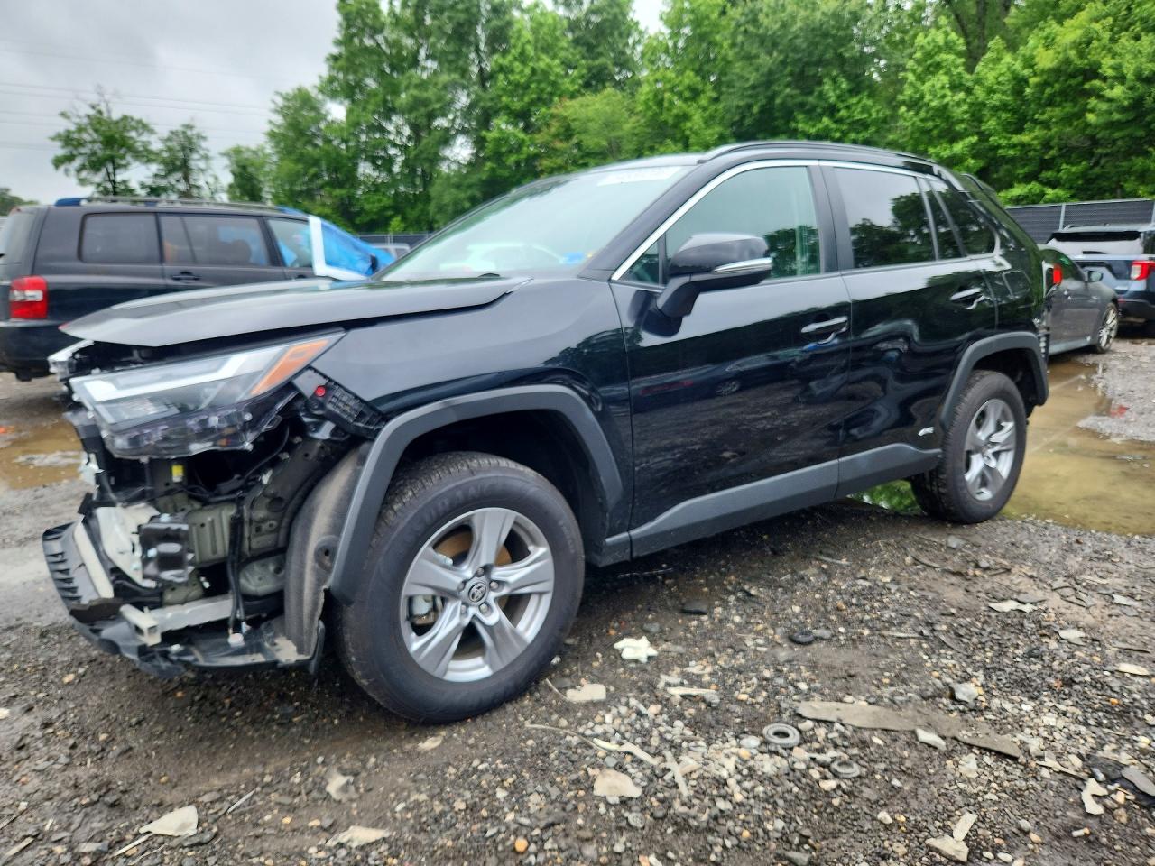 2025 TOYOTA RAV4