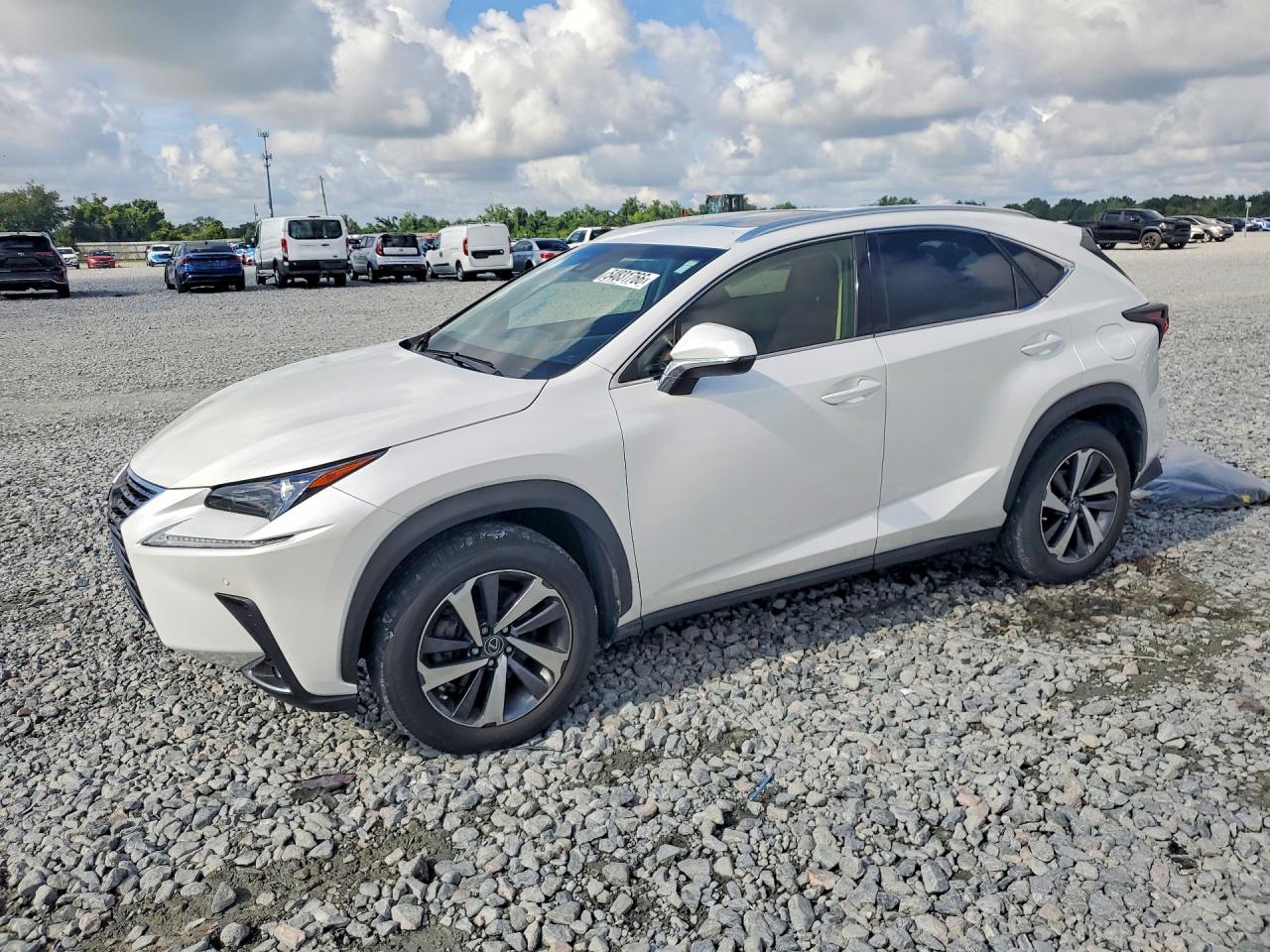 2019 LEXUS NX