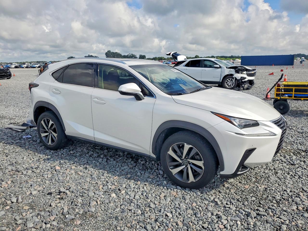 2019 LEXUS NX
