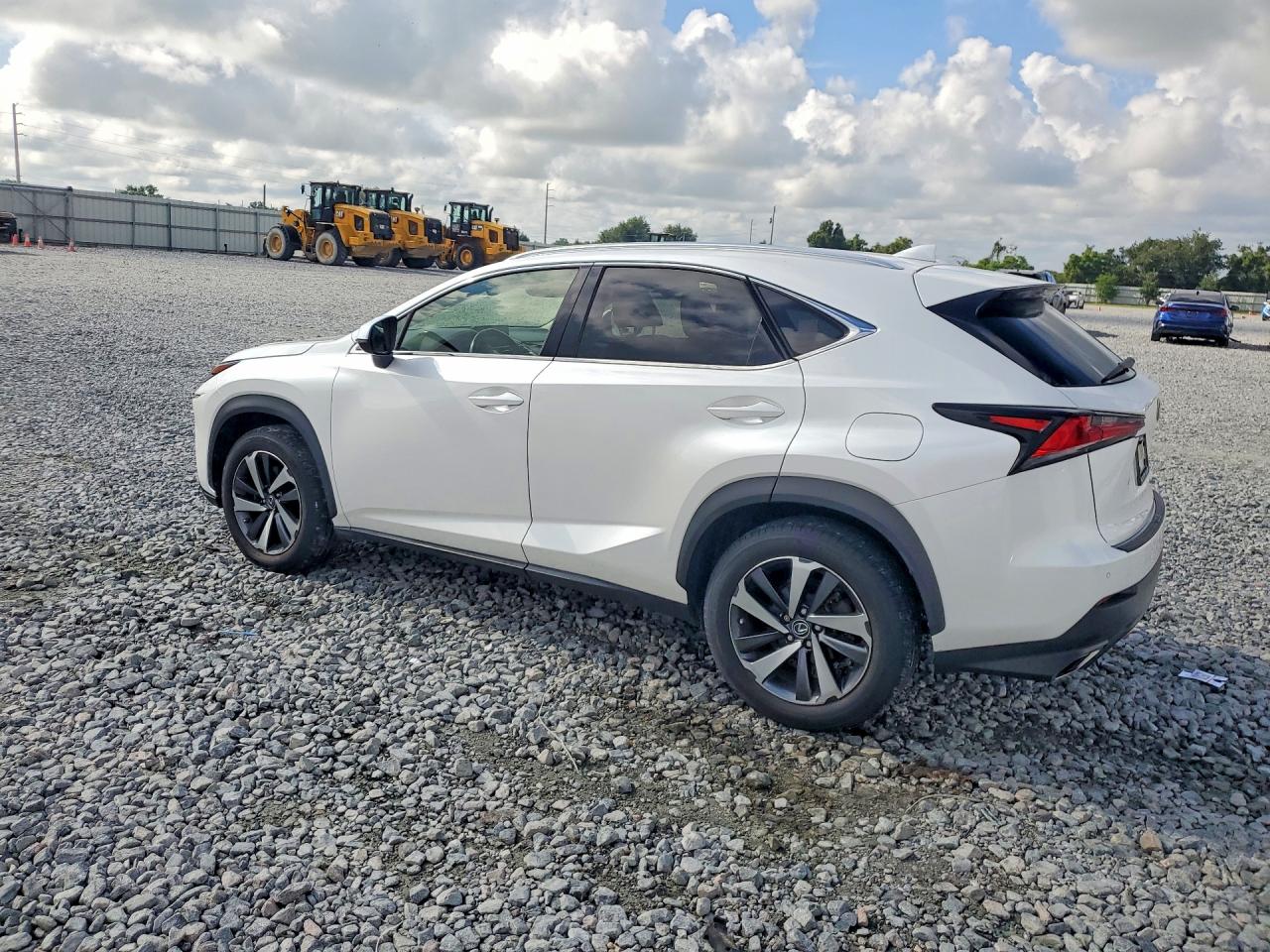 2019 LEXUS NX