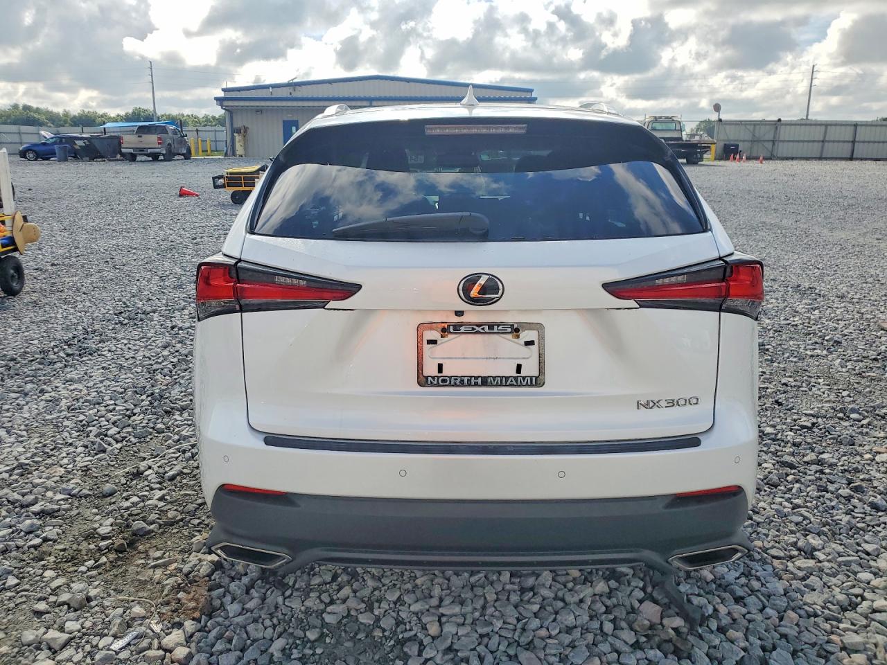 2019 LEXUS NX