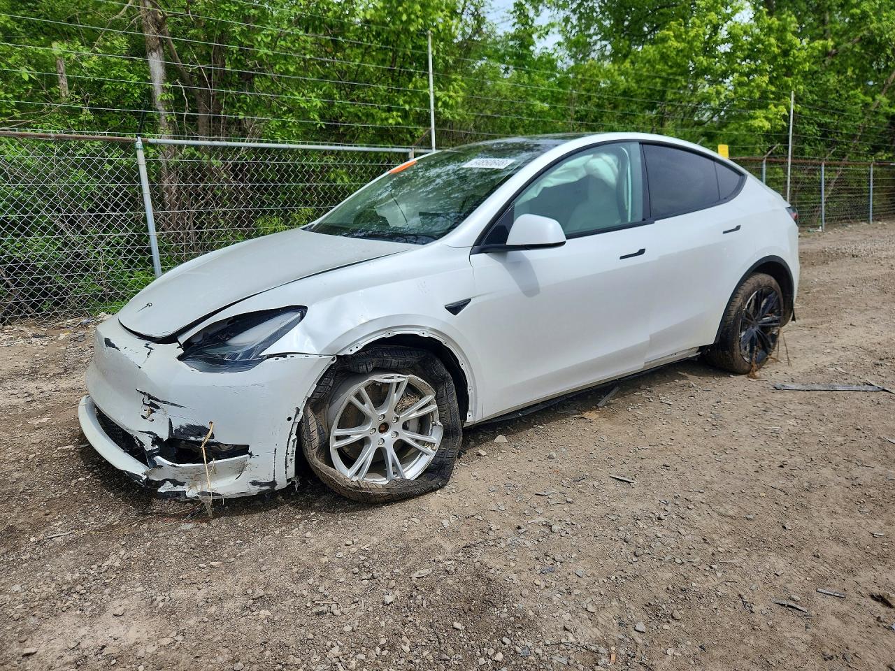 2021 TESLA MODEL Y