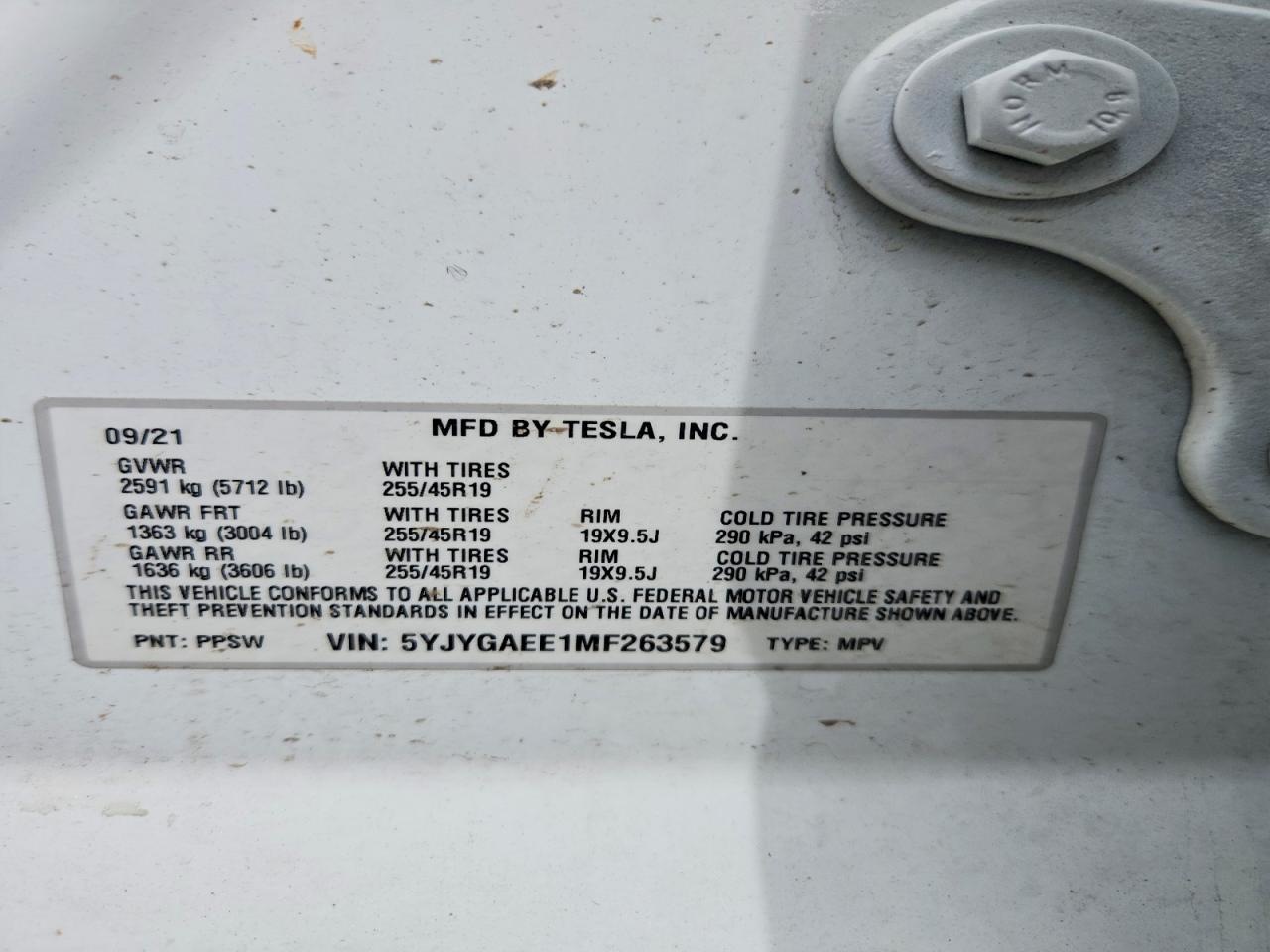2021 TESLA MODEL Y