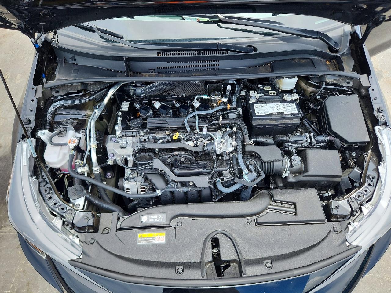 2025 TOYOTA COROLLA