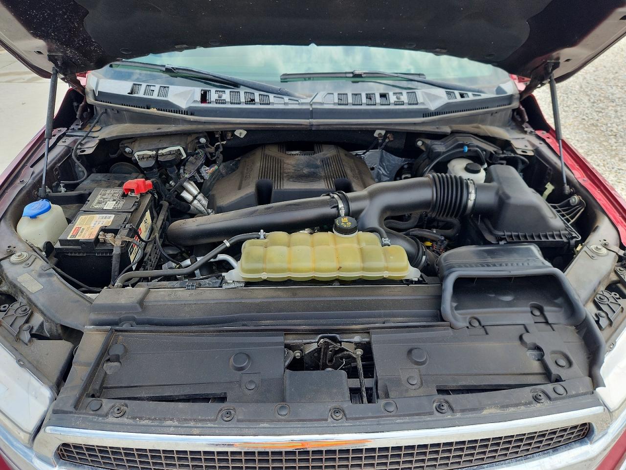 2019 FORD F150