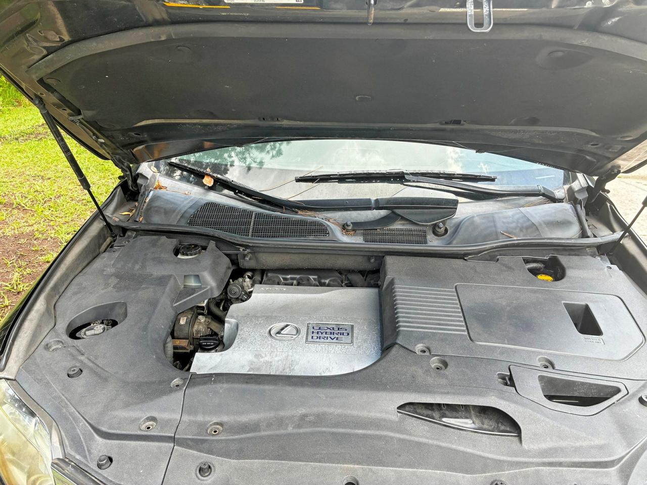 2010 LEXUS RX450