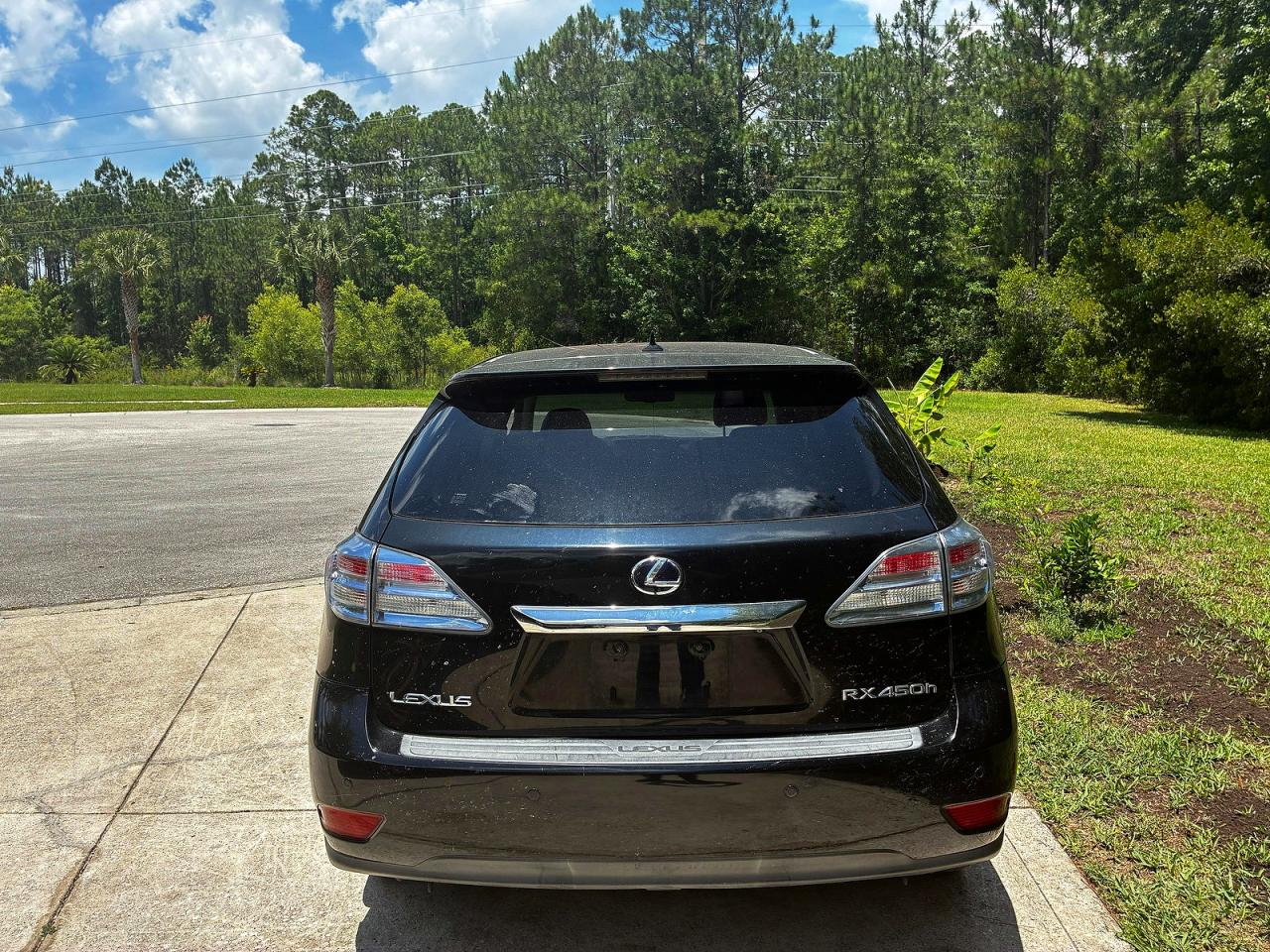 2010 LEXUS RX450
