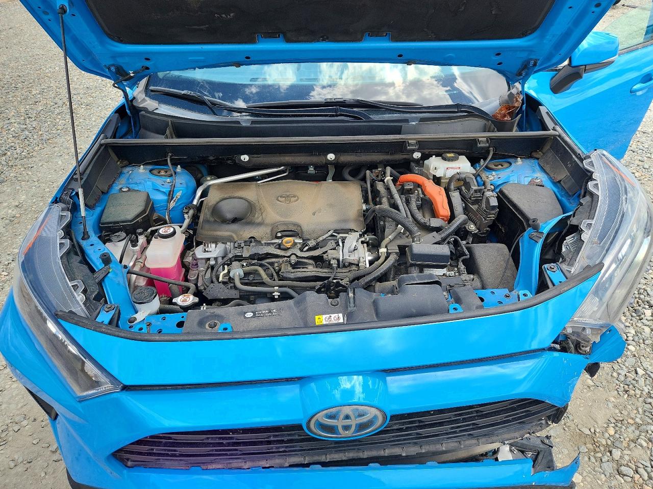 2019 TOYOTA RAV4