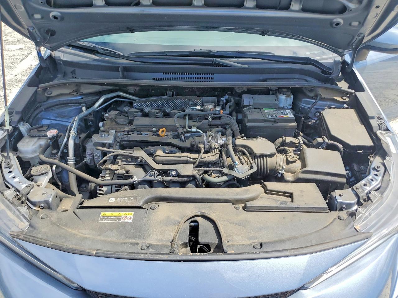 2023 TOYOTA COROLLA