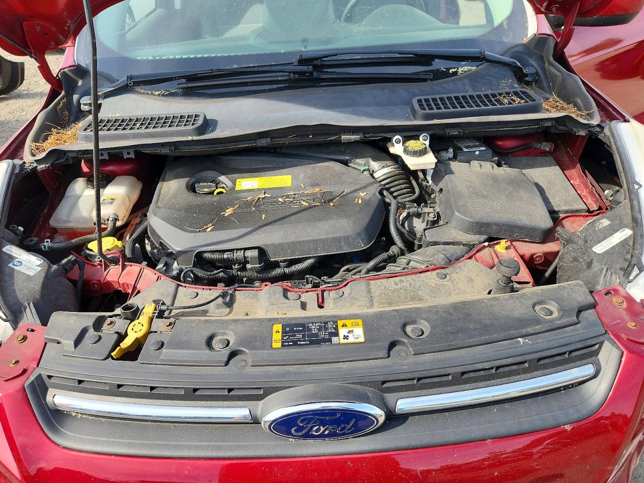 2013 FORD ESCAPE