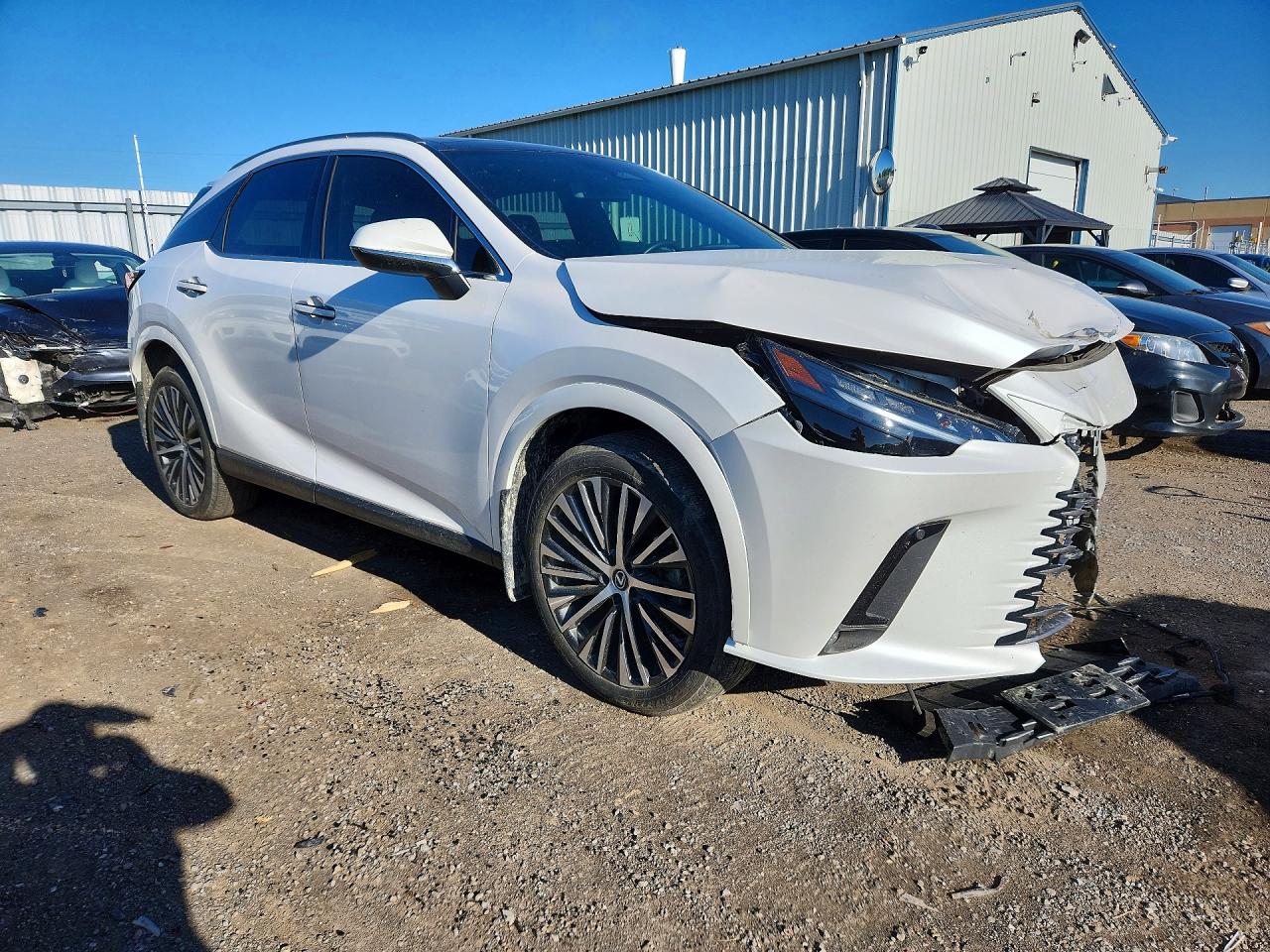 2023 LEXUS RX300