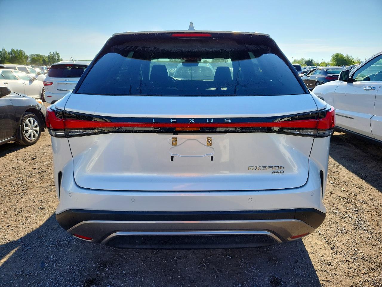 2023 LEXUS RX300