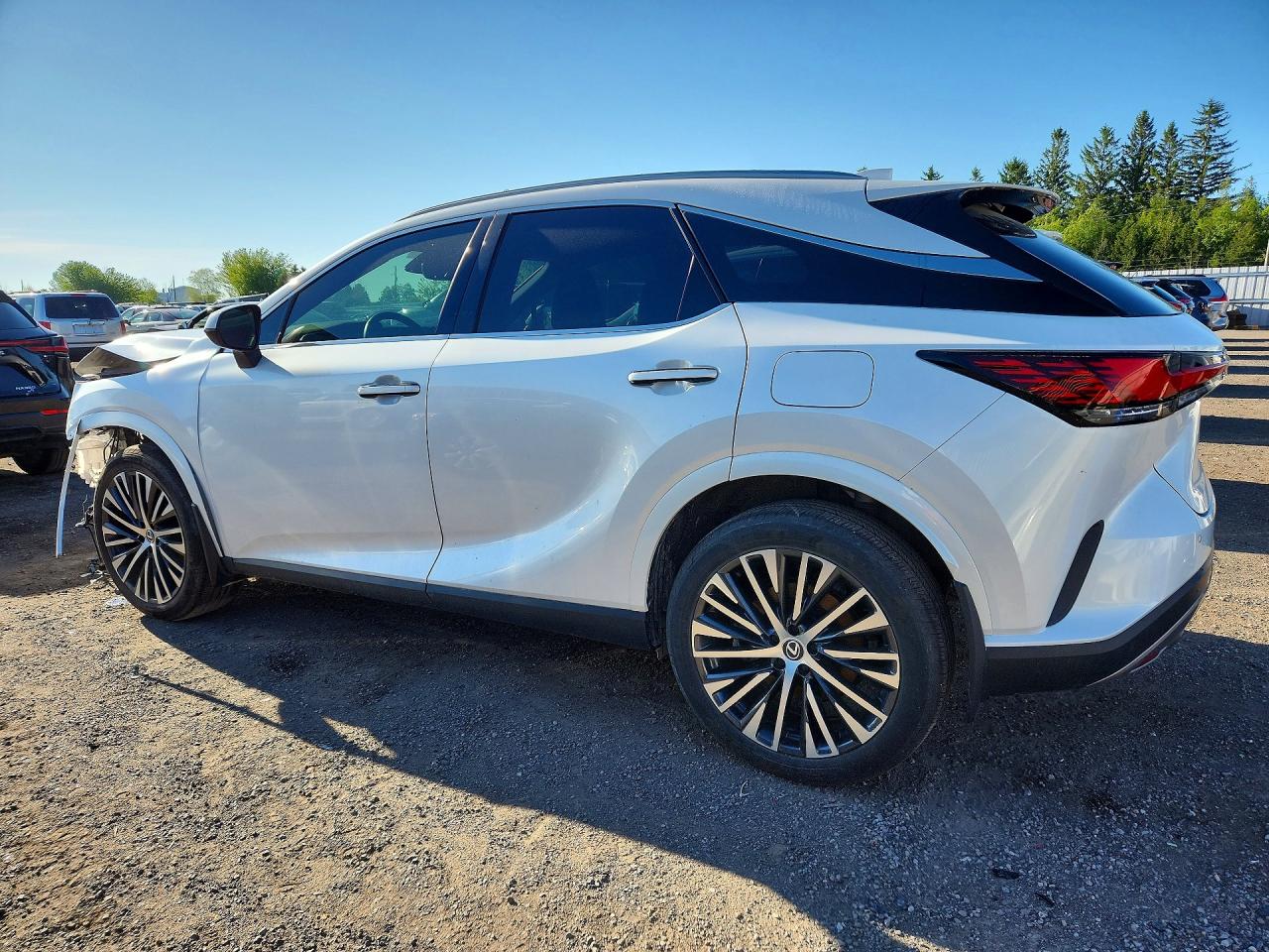 2023 LEXUS RX300