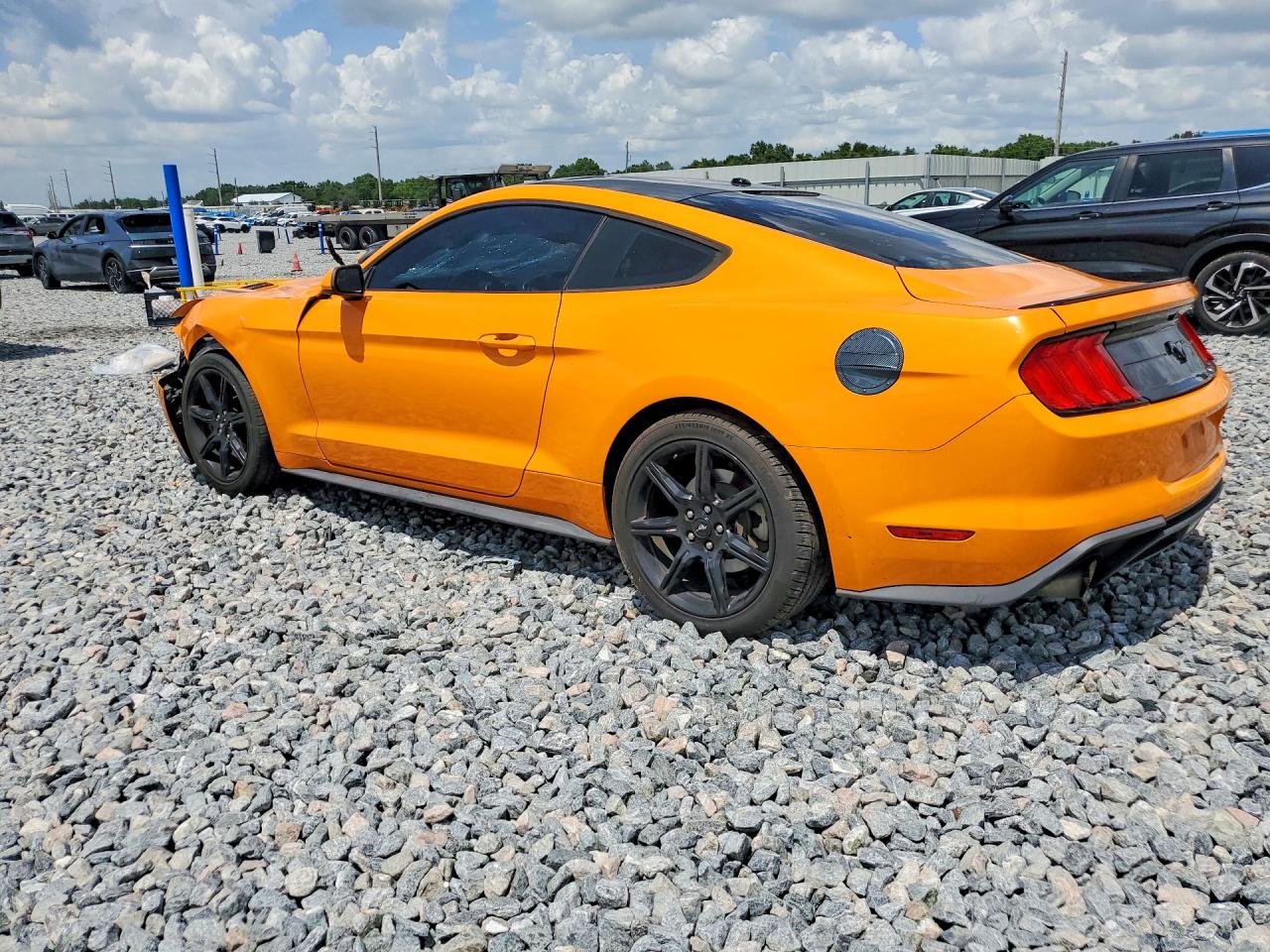 2019 FORD MUSTANG