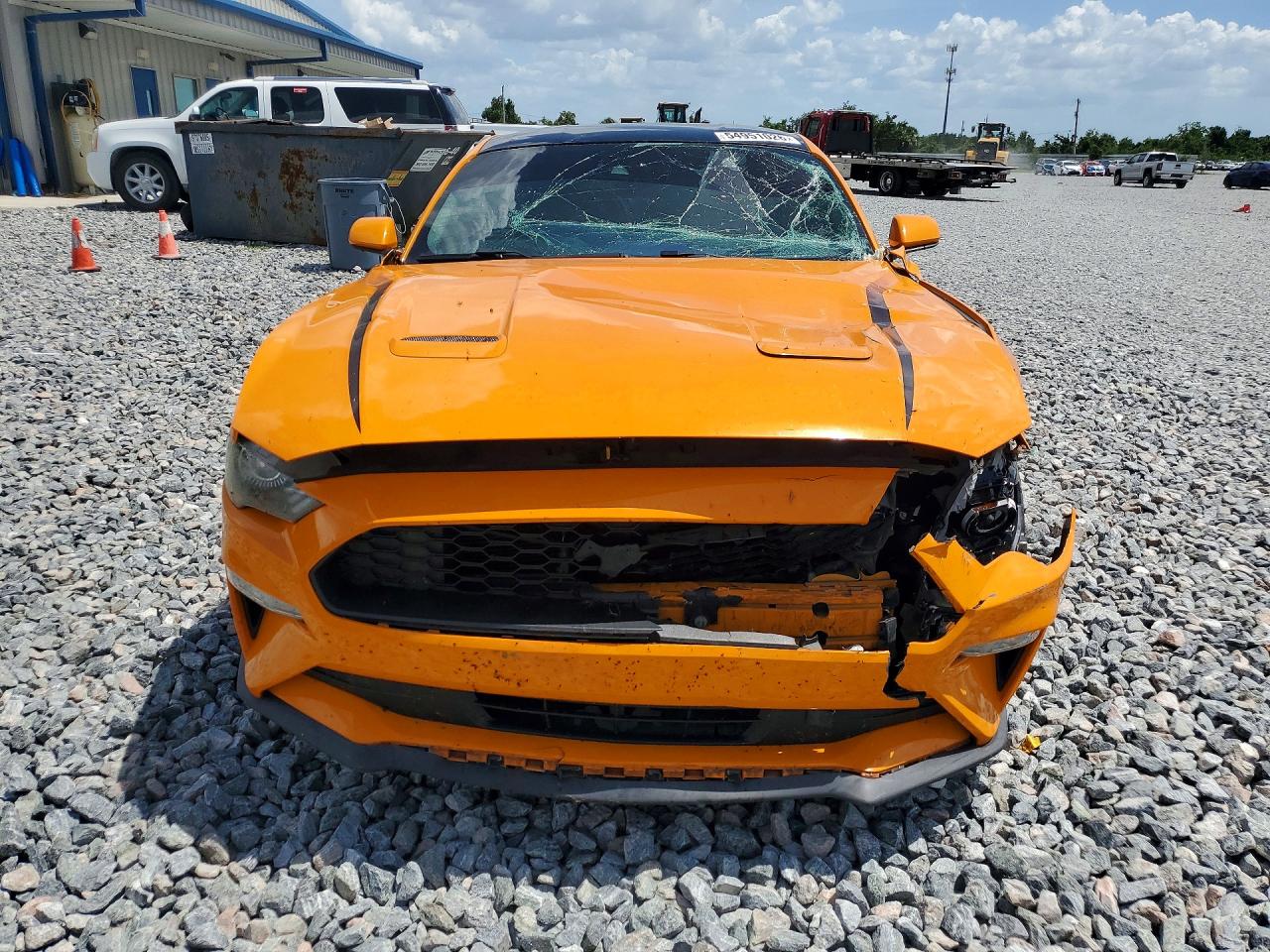 2019 FORD MUSTANG