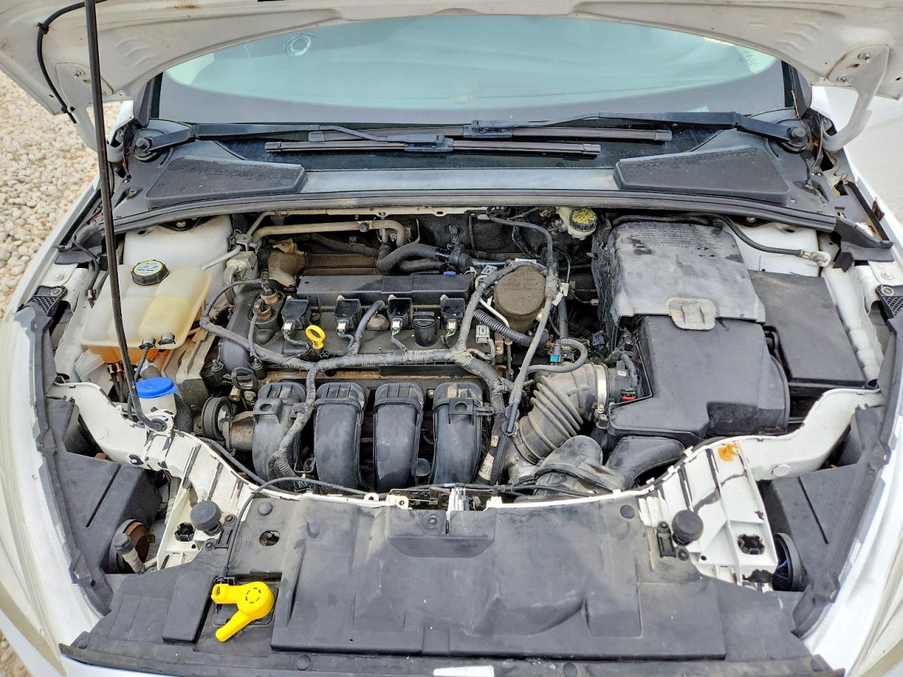 2016 FORD FOCUS