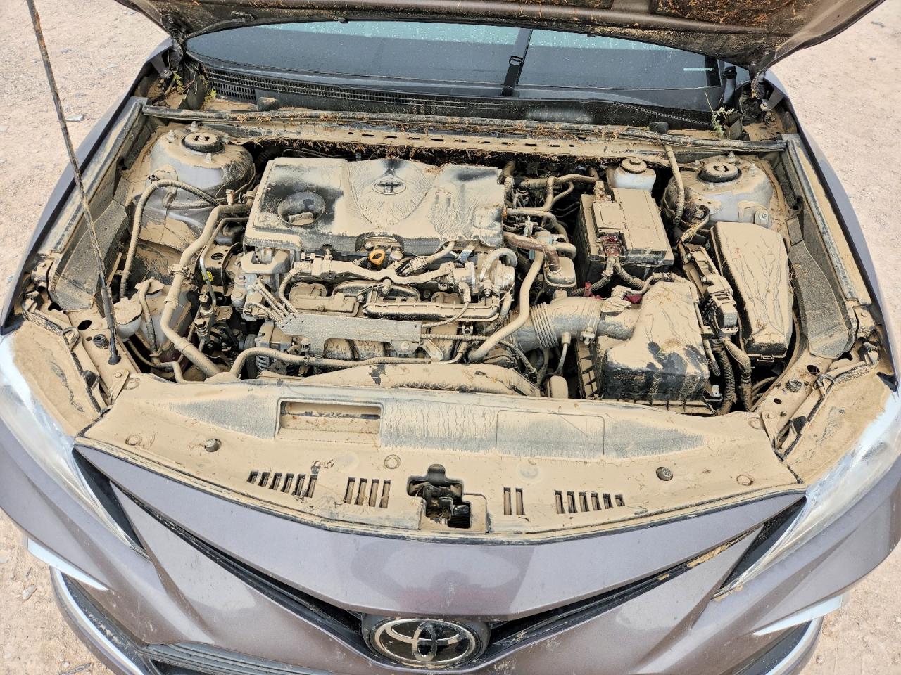 2024 TOYOTA CAMRY
