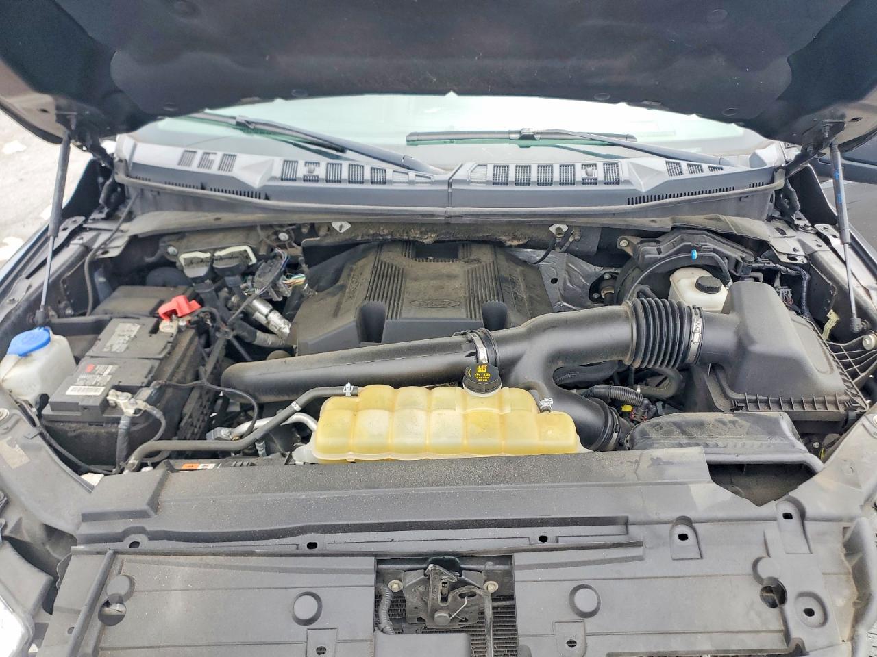 2019 FORD F150