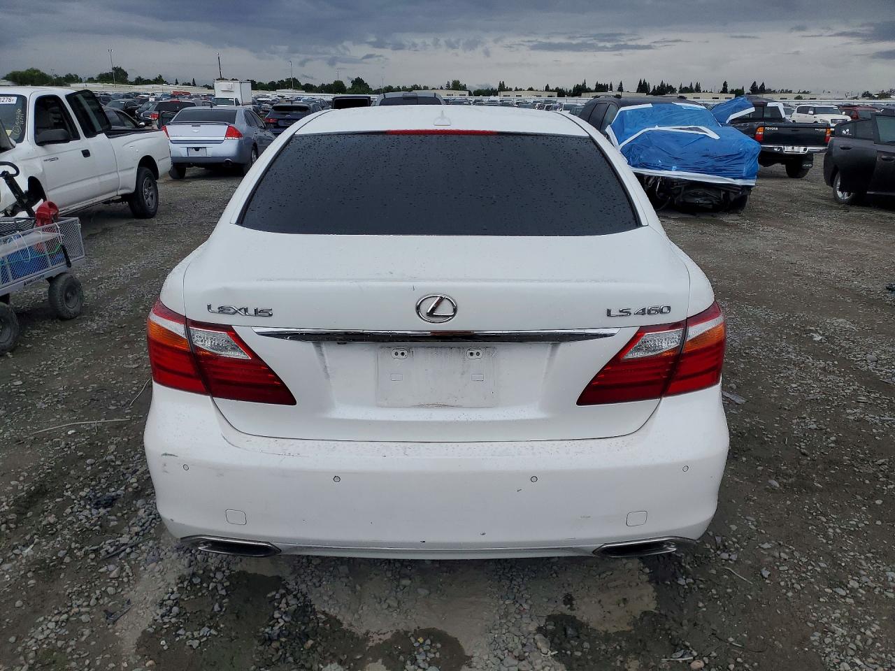 2010 LEXUS LS460