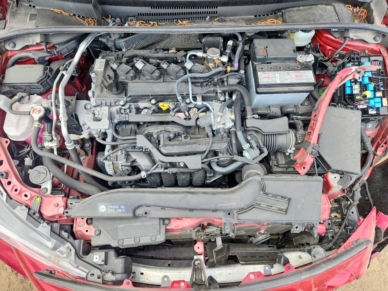 2025 TOYOTA COROLLA