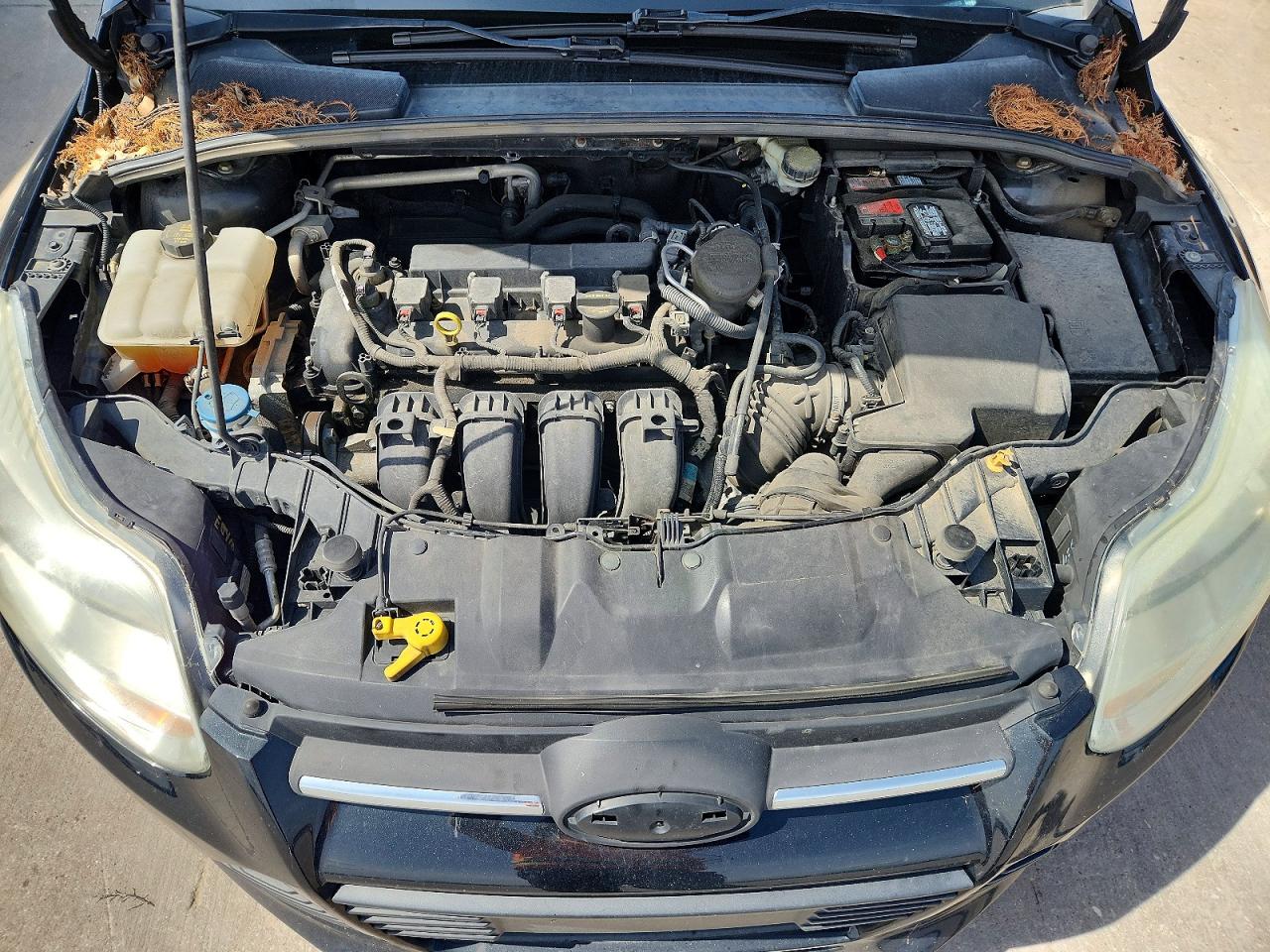 2013 FORD FOCUS