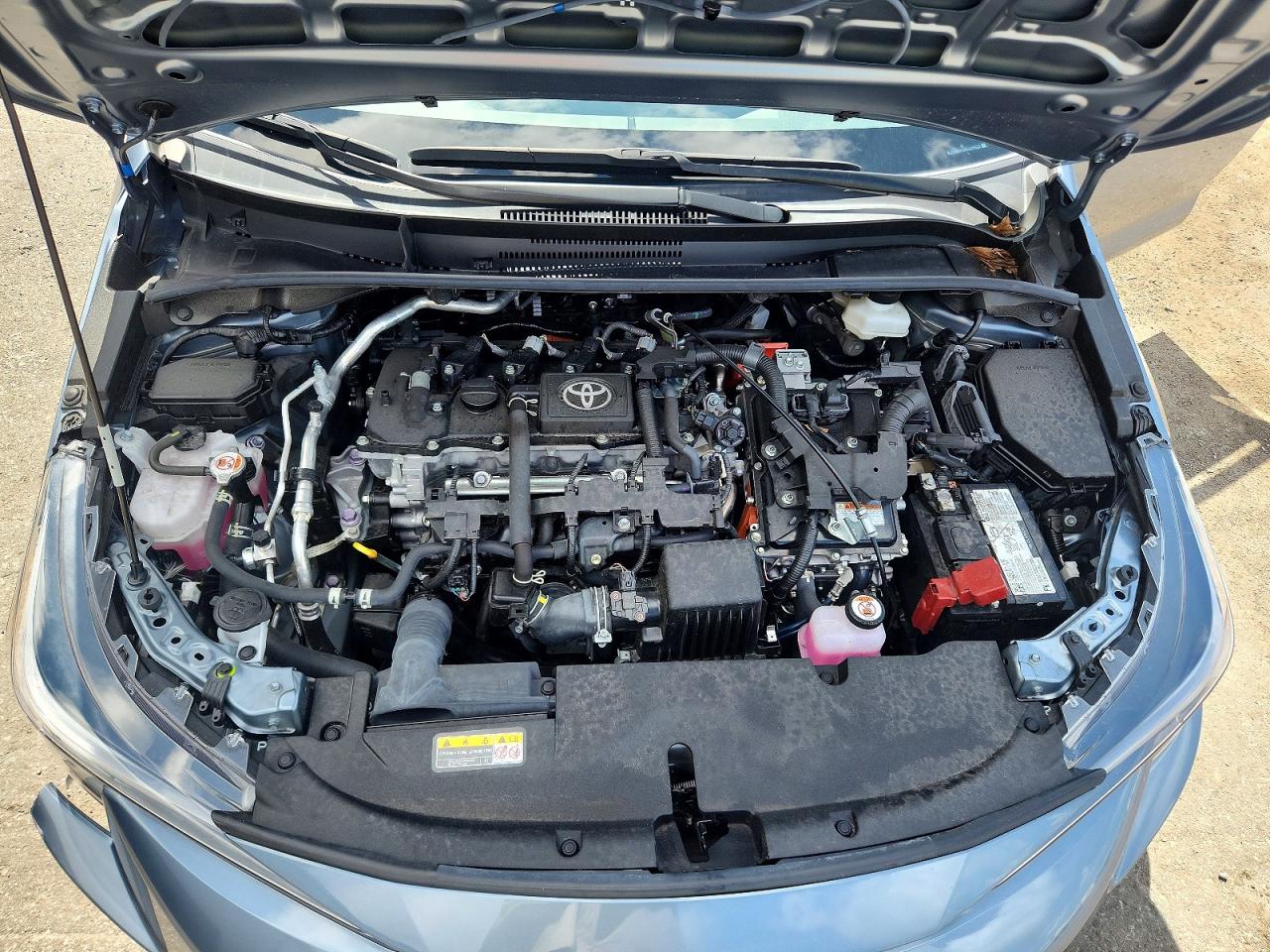 2025 TOYOTA COROLLA