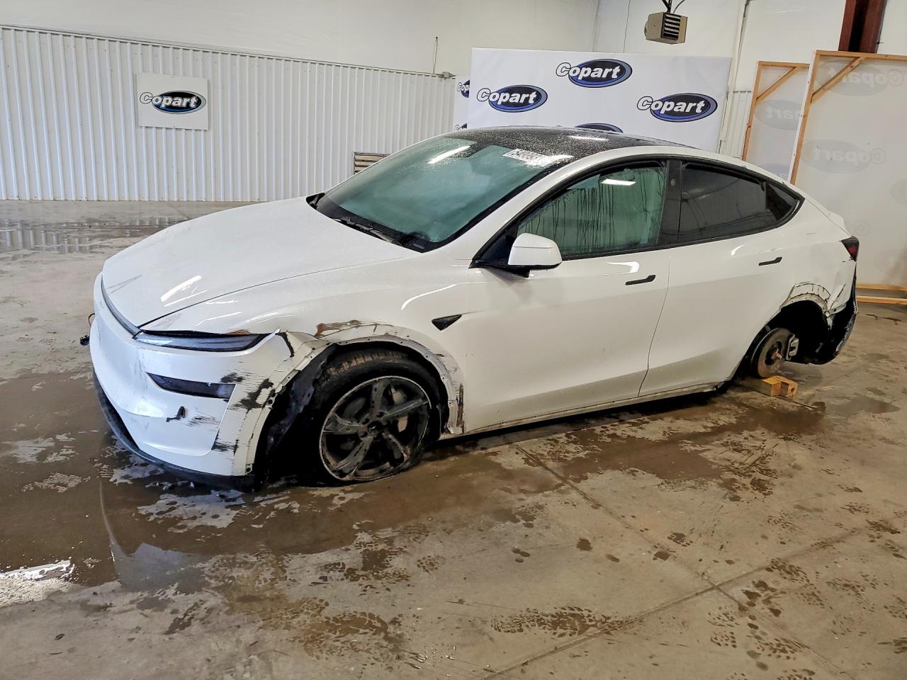 2026 TESLA MODEL Y