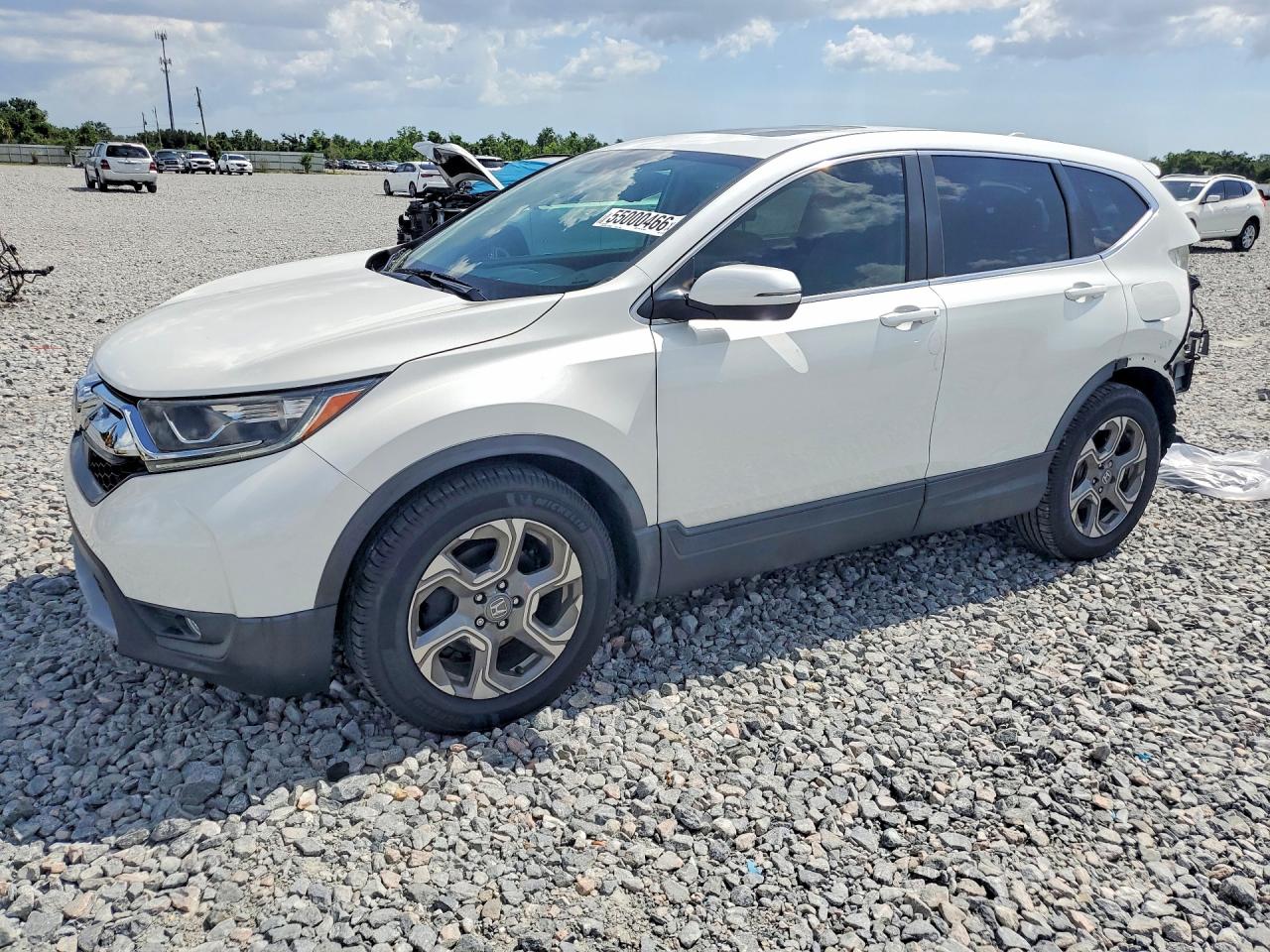 2019 HONDA CRV