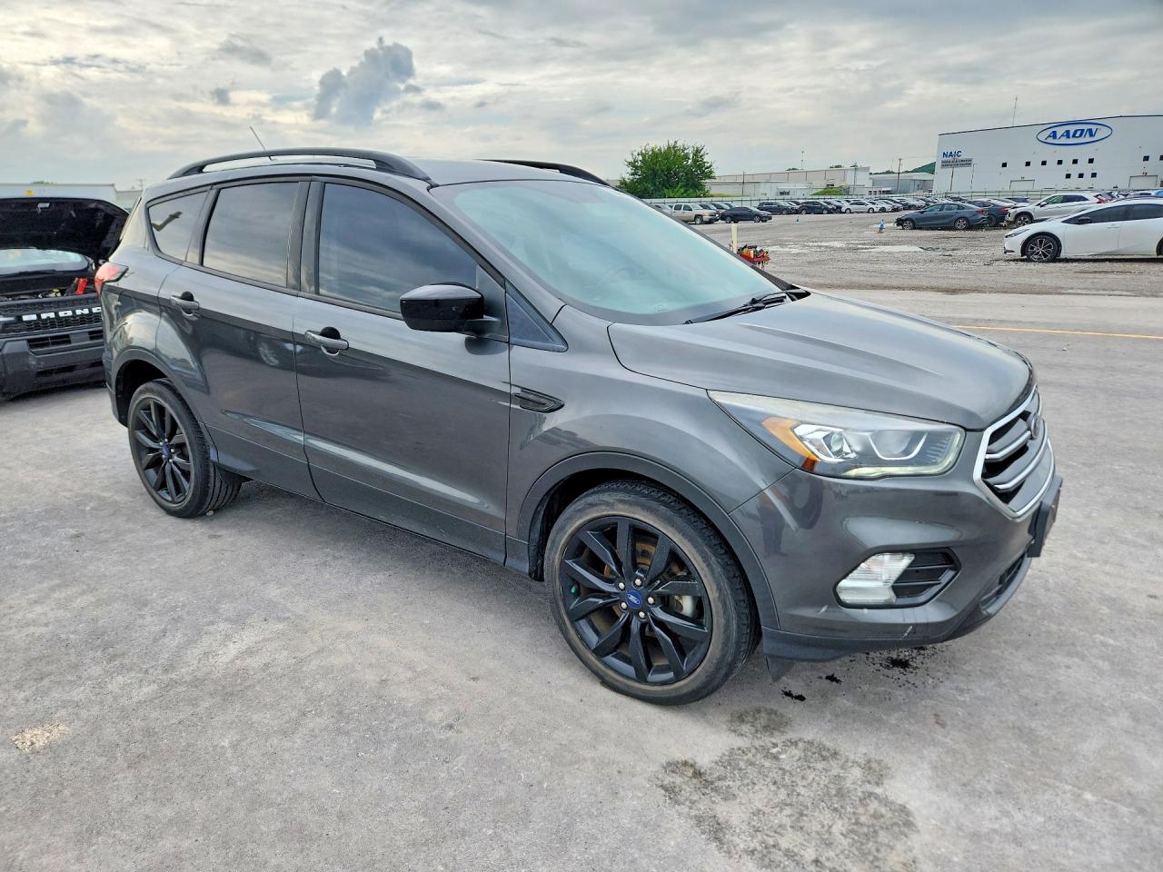 2019 FORD ESCAPE