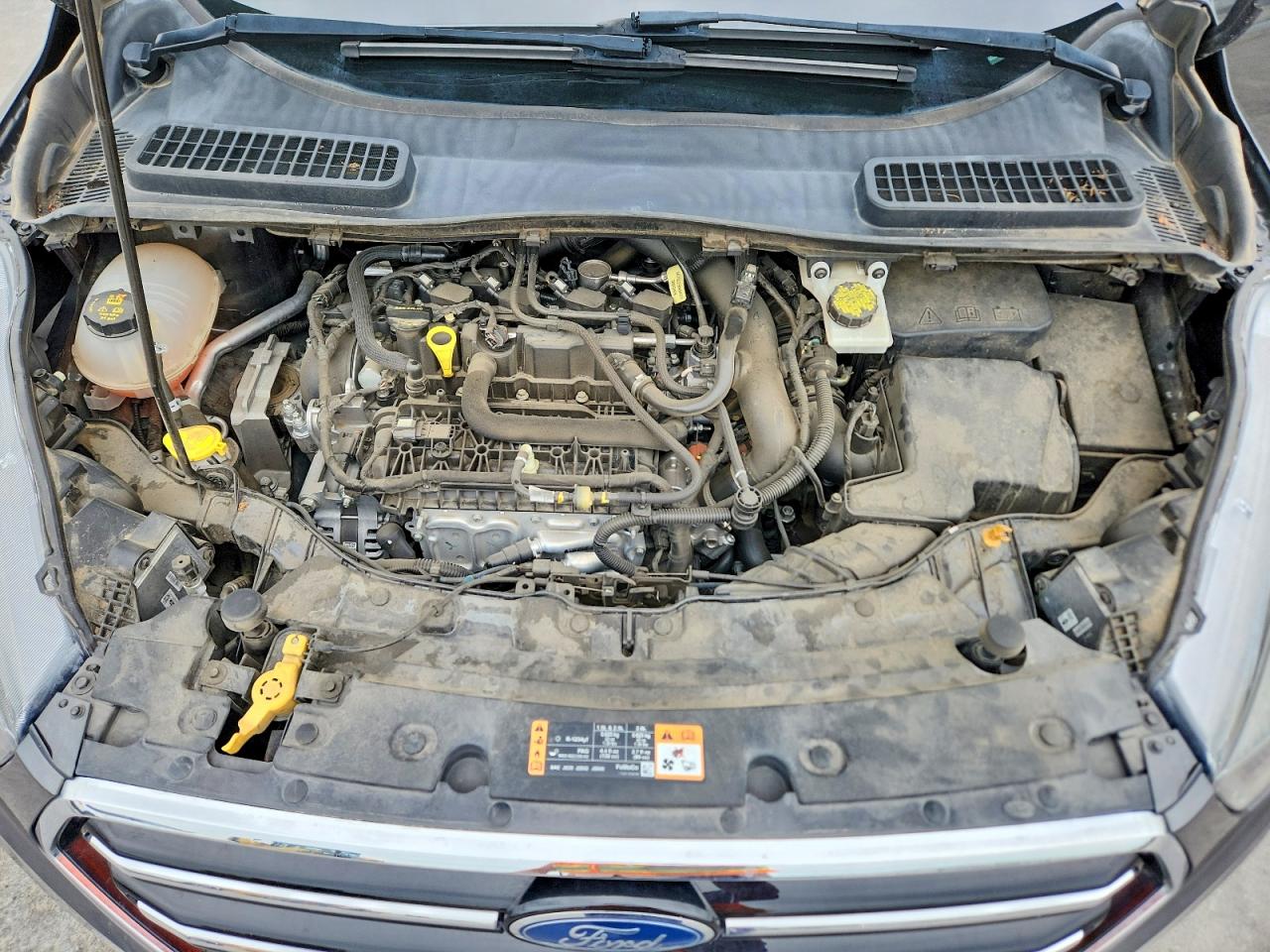 2019 FORD ESCAPE
