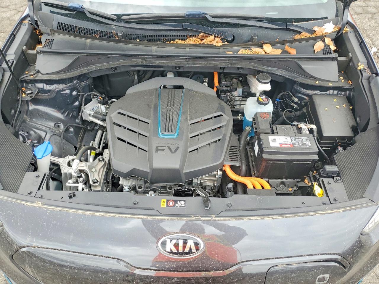 2019 KIA NIRO