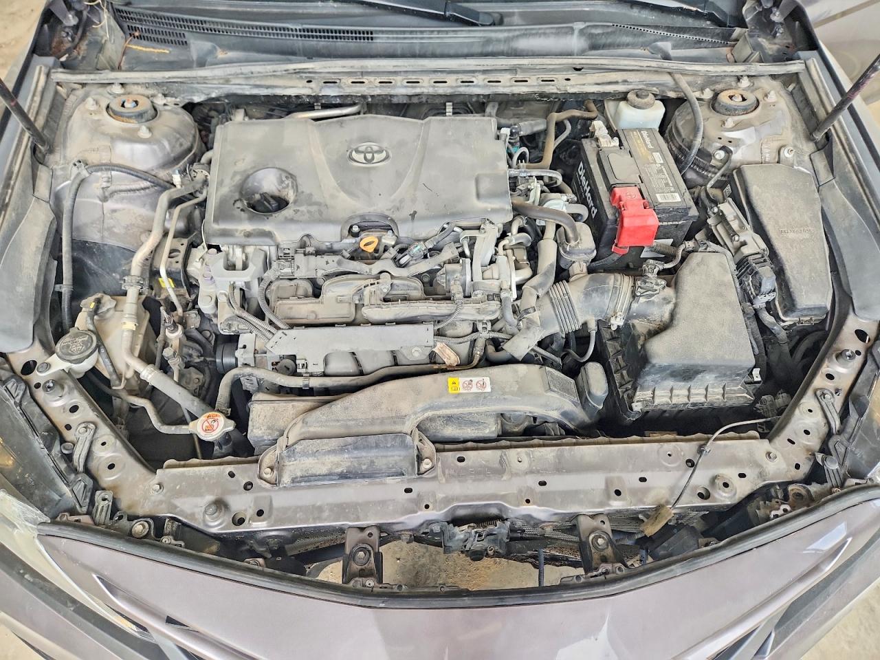2019 TOYOTA CAMRY