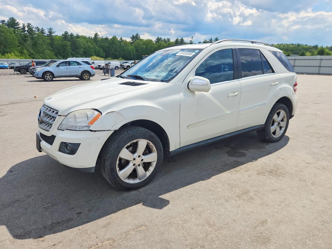 2010 MERCEDES-BENZ M-CLASS