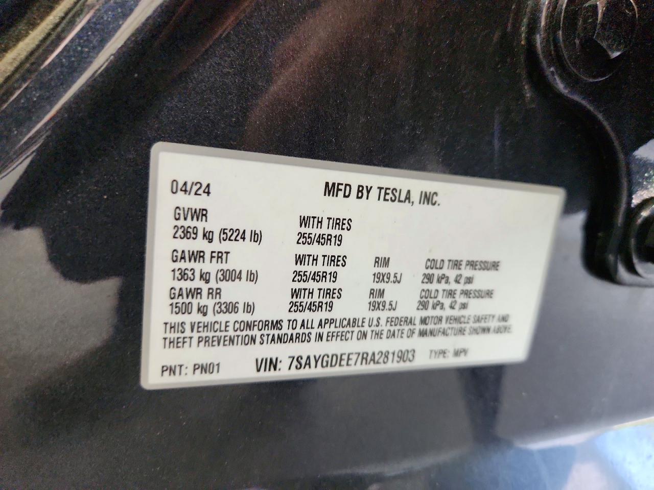 2024 TESLA MODEL Y