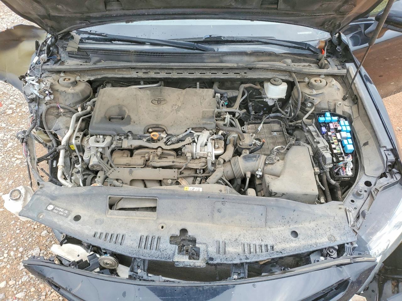2019 TOYOTA CAMRY