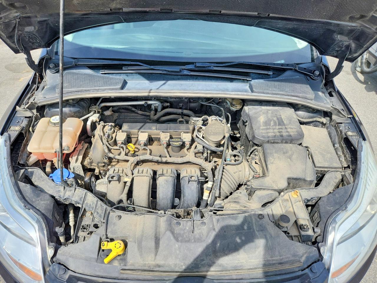 2013 FORD FOCUS