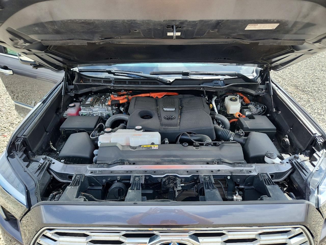 2024 TOYOTA SEQUOIA