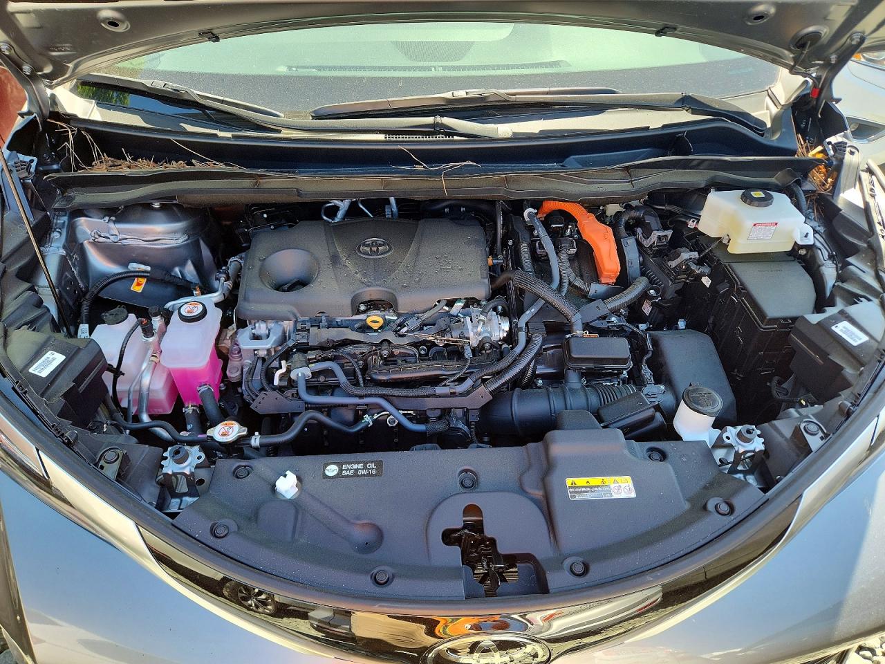2026 TOYOTA SIENNA