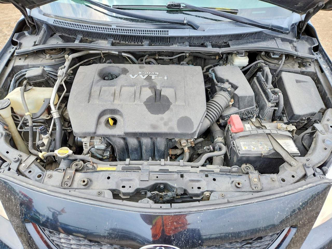 2009 TOYOTA COROLLA