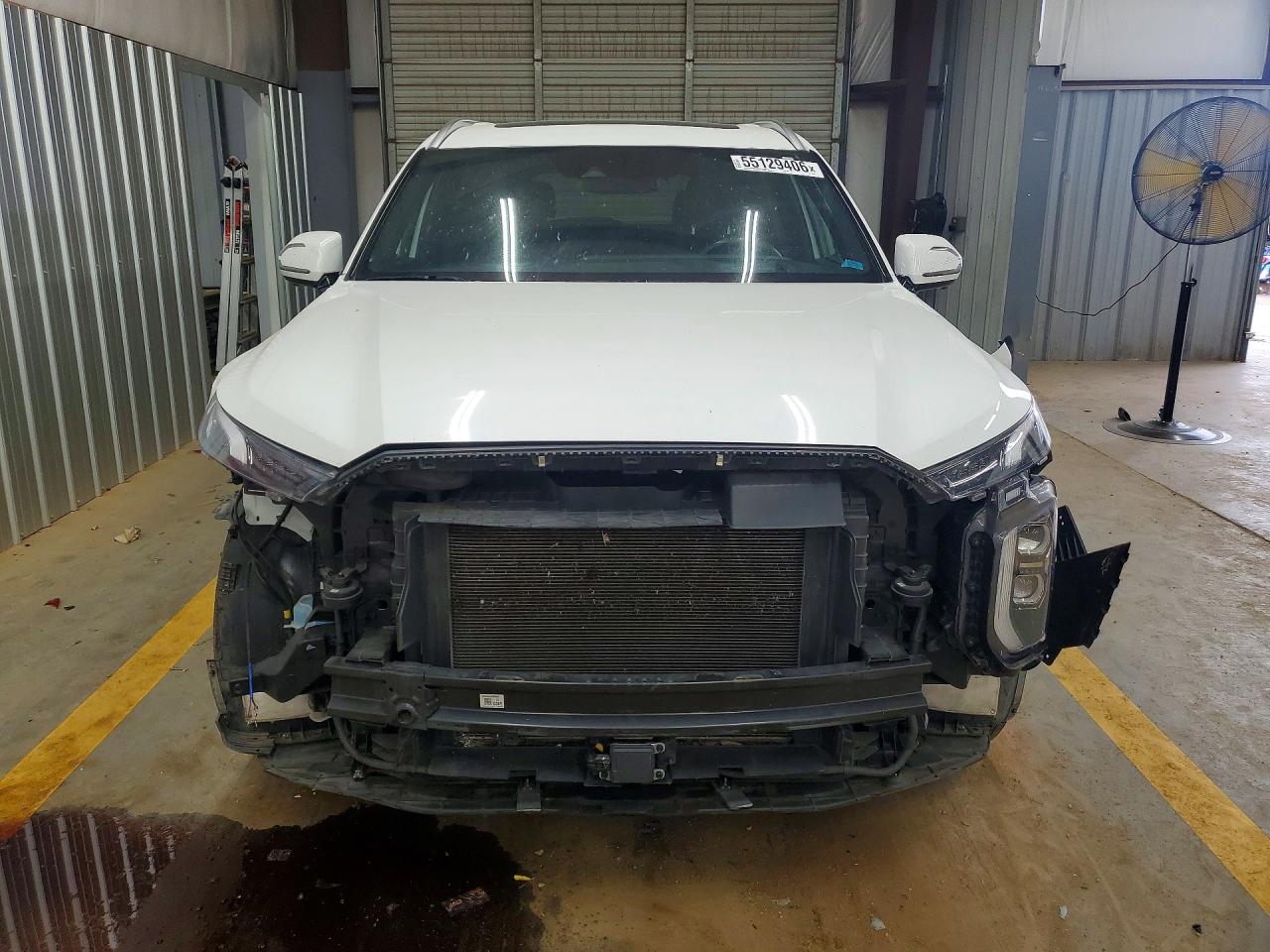 2020 HYUNDAI PALISADE