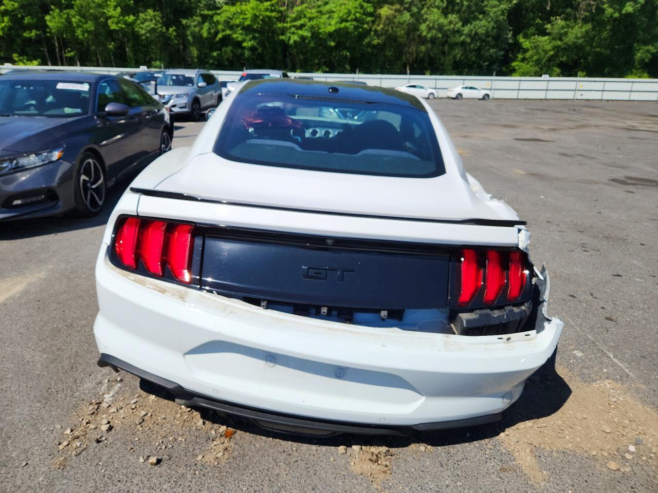 2019 FORD MUSTANG