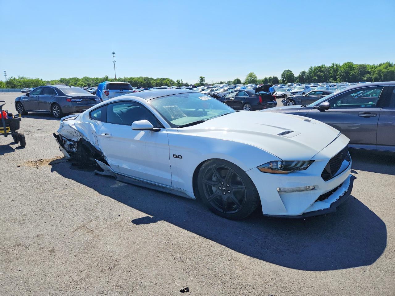 2019 FORD MUSTANG