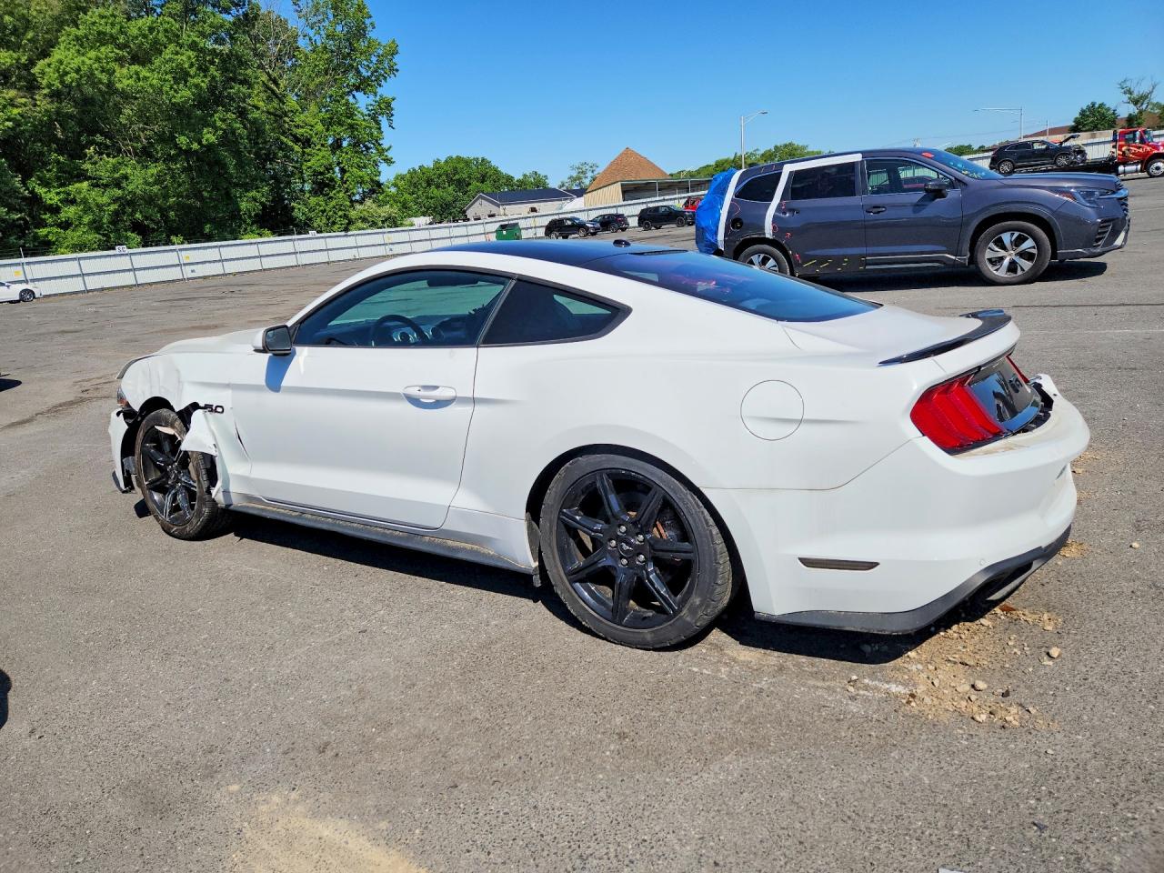 2019 FORD MUSTANG