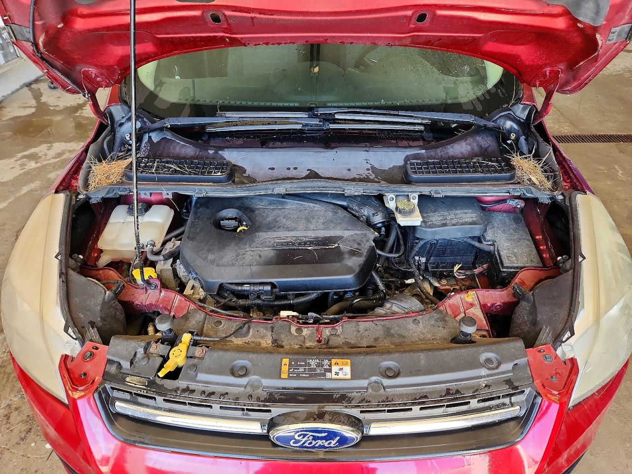 2014 FORD ESCAPE