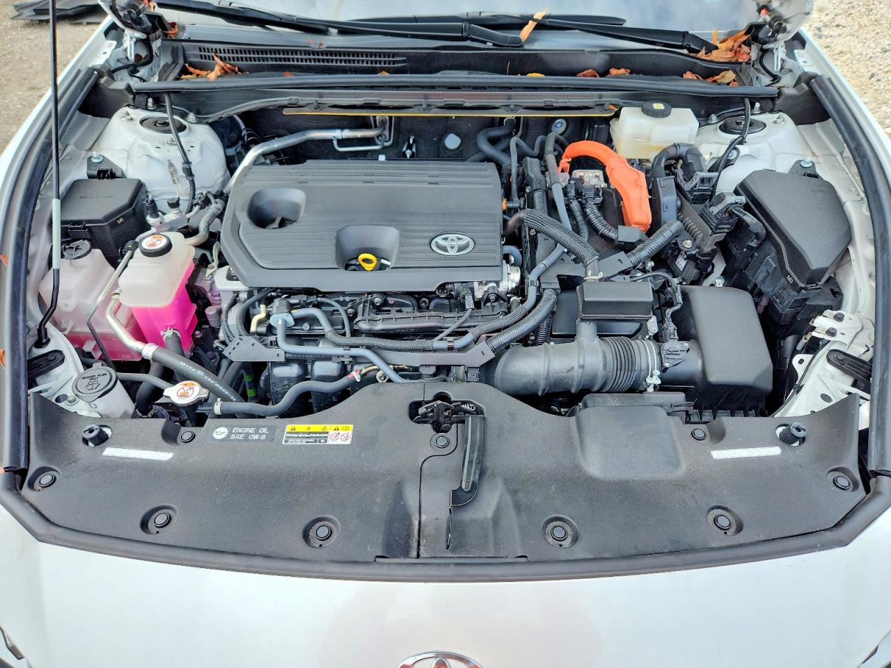 2024 TOYOTA ALL OTHER