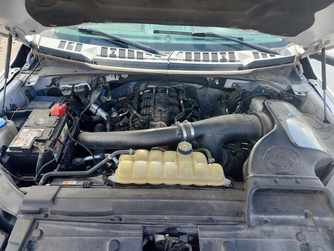 2019 FORD