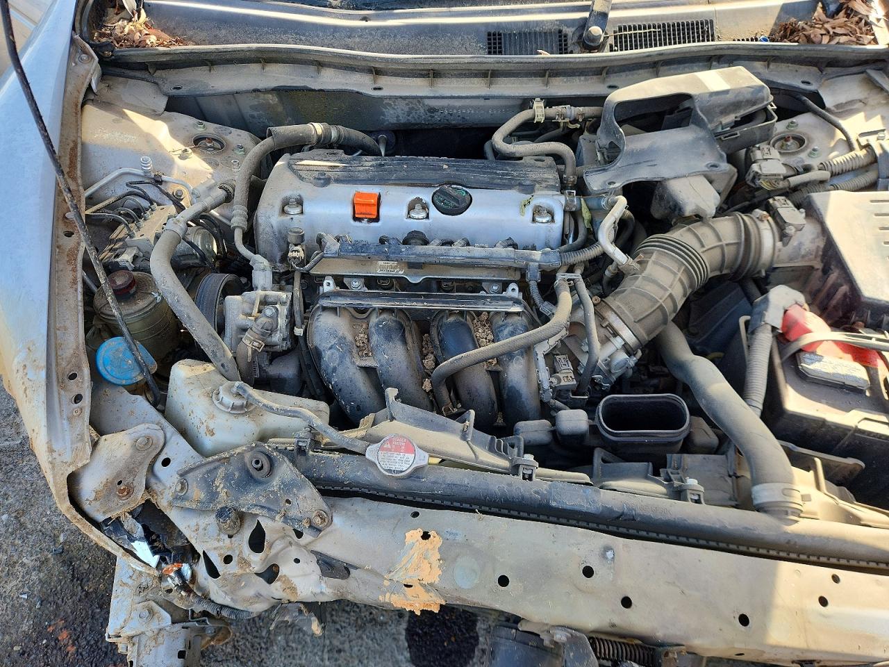 2010 HONDA ACCORD