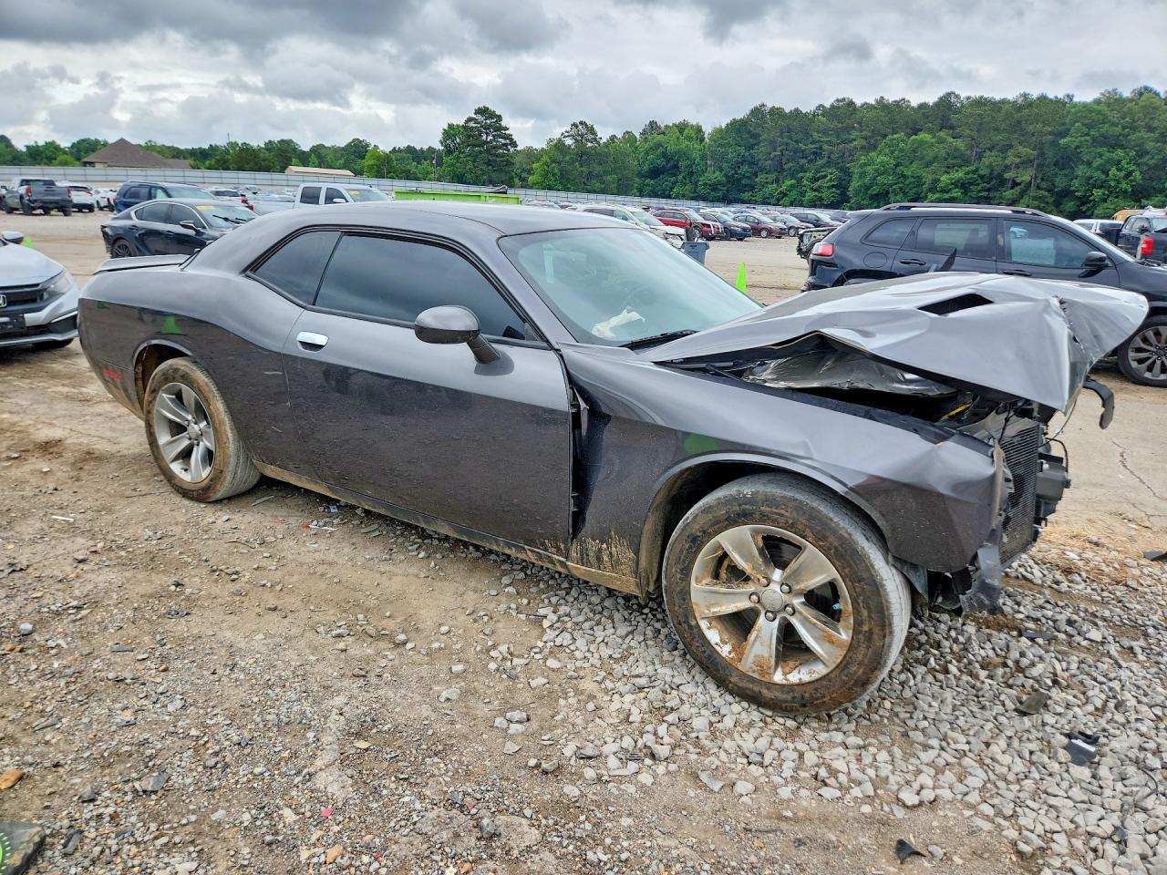 2019 DODGE CHALLENGER